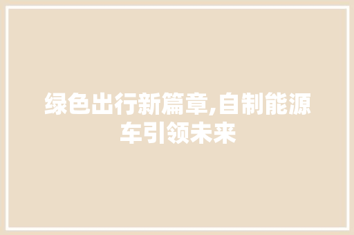 绿色出行新篇章,自制能源车引领未来 车身配件