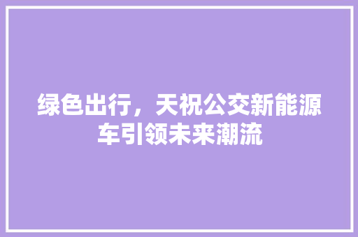 绿色出行，天祝公交新能源车引领未来潮流