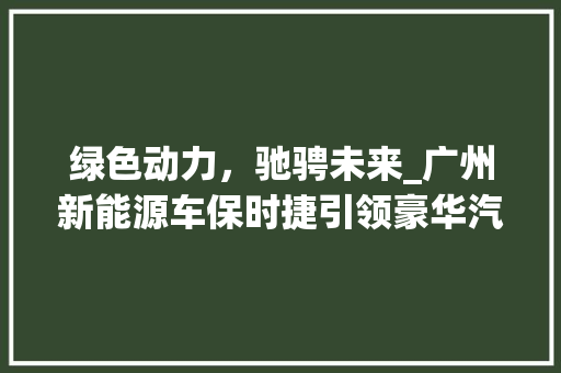 绿色动力，驰骋未来_广州新能源车保时捷引领豪华汽车新潮流