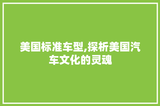 美国标准车型,探析美国汽车文化的灵魂