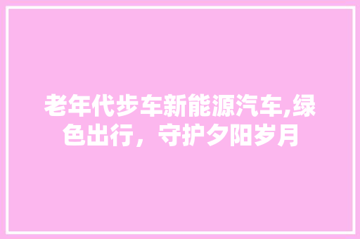 老年代步车新能源汽车,绿色出行，守护夕阳岁月
