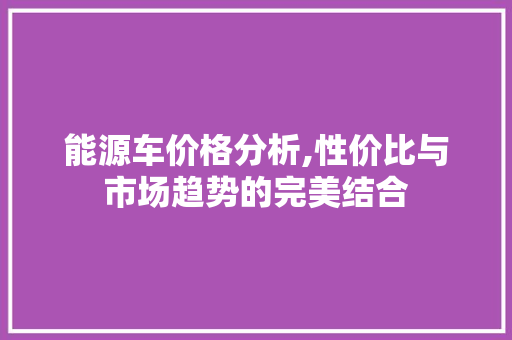 能源车价格分析,性价比与市场趋势的完美结合 蓄电池配件
