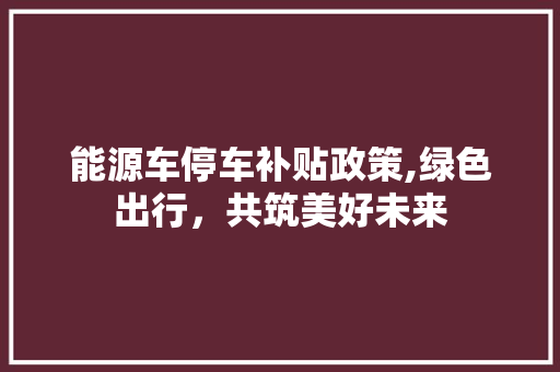 能源车停车补贴政策,绿色出行，共筑美好未来