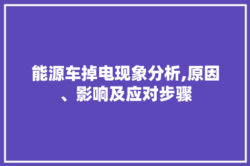 能源车掉电现象分析,原因、影响及应对步骤