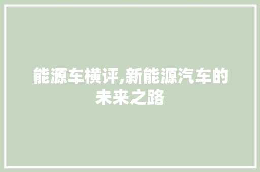 能源车横评,新能源汽车的未来之路