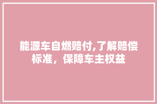 能源车自燃赔付,了解赔偿标准，保障车主权益