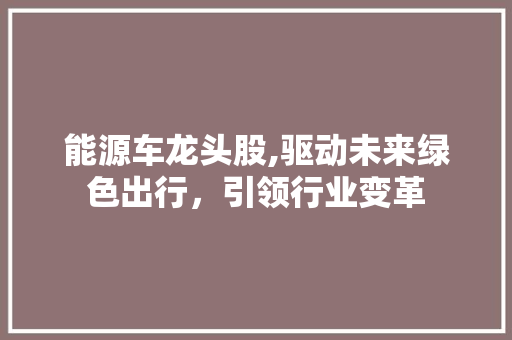 能源车龙头股,驱动未来绿色出行，引领行业变革 车灯配件