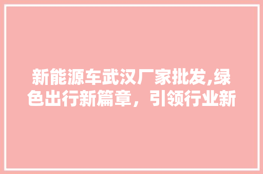 新能源车武汉厂家批发,绿色出行新篇章，引领行业新潮流