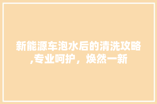 新能源车泡水后的清洗攻略,专业呵护，焕然一新