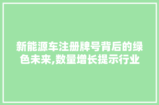 新能源车注册牌号背后的绿色未来,数量增长提示行业发展趋势