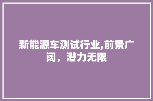 新能源车测试行业,前景广阔，潜力无限 车灯配件