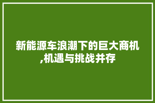 新能源车浪潮下的巨大商机,机遇与挑战并存