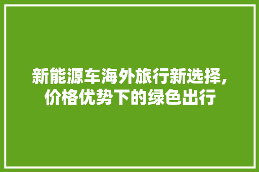 新能源车海外旅行新选择,价格优势下的绿色出行