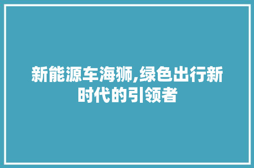 新能源车海狮,绿色出行新时代的引领者 变速箱配件