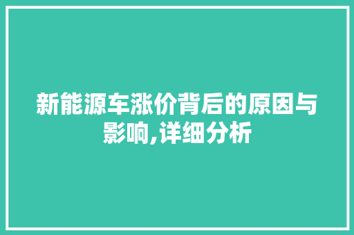 新能源车涨价背后的原因与影响,详细分析