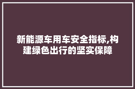 新能源车用车安全指标,构建绿色出行的坚实保障