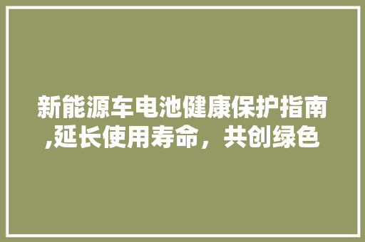 新能源车电池健康保护指南,延长使用寿命，共创绿色出行未来