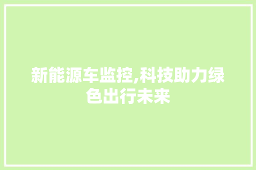新能源车监控,科技助力绿色出行未来