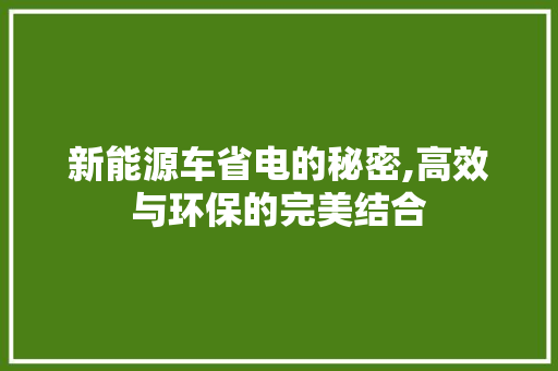 新能源车省电的秘密,高效与环保的完美结合