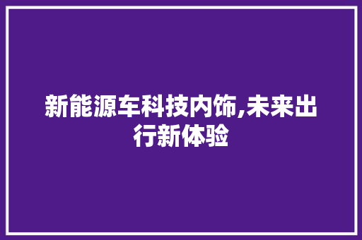 新能源车科技内饰,未来出行新体验