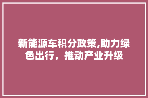 新能源车积分政策,助力绿色出行，推动产业升级