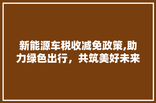 新能源车税收减免政策,助力绿色出行，共筑美好未来 新款车型