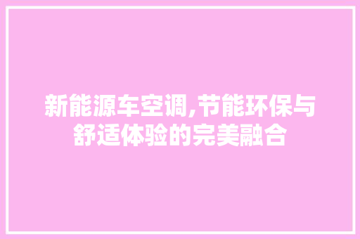 新能源车空调,节能环保与舒适体验的完美融合