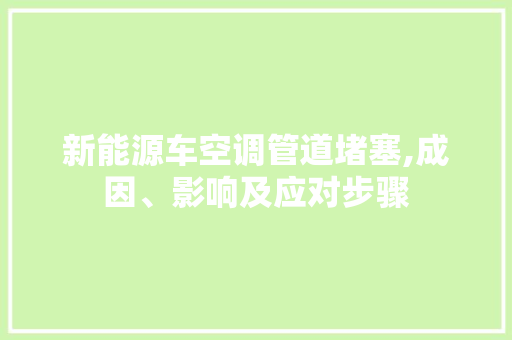 新能源车空调管道堵塞,成因、影响及应对步骤