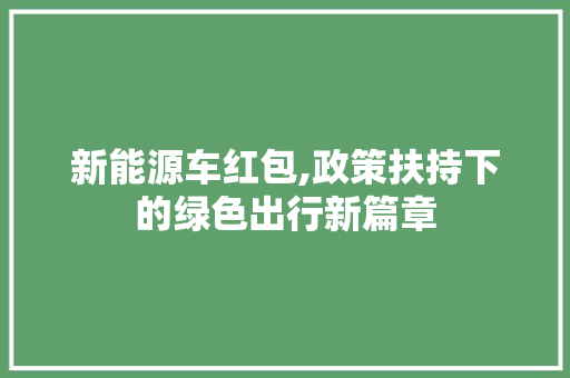 新能源车红包,政策扶持下的绿色出行新篇章