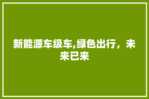 新能源车级车,绿色出行，未来已来