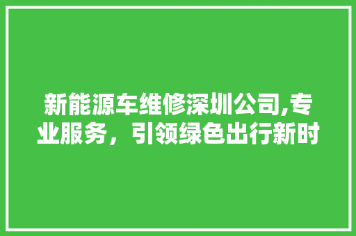 新能源车维修深圳公司,专业服务，引领绿色出行新时代