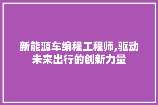新能源车编程工程师,驱动未来出行的创新力量 底盘配件