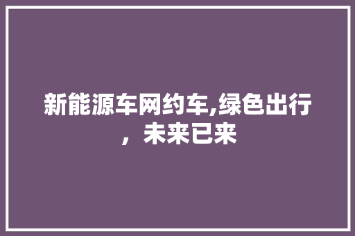 新能源车网约车,绿色出行，未来已来