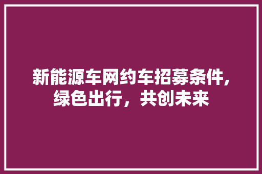 新能源车网约车招募条件,绿色出行，共创未来