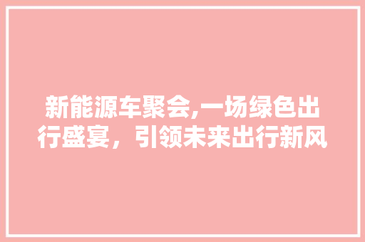 新能源车聚会,一场绿色出行盛宴，引领未来出行新风尚