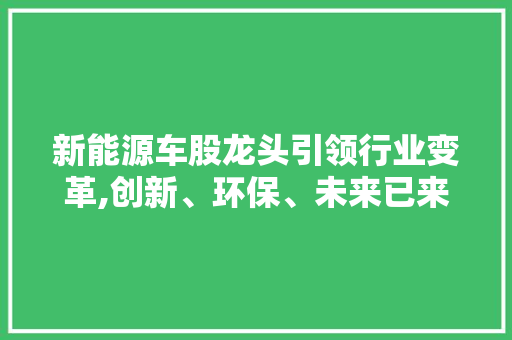 新能源车股龙头引领行业变革,创新、环保、未来已来