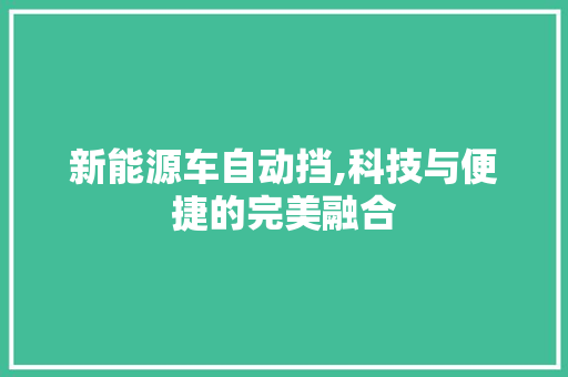 新能源车自动挡,科技与便捷的完美融合