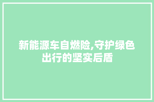 新能源车自燃险,守护绿色出行的坚实后盾