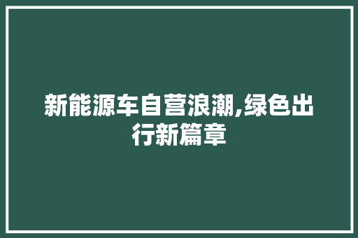 新能源车自营浪潮,绿色出行新篇章