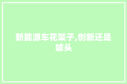 新能源车花架子,创新还是噱头