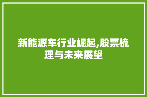 新能源车行业崛起,股票梳理与未来展望