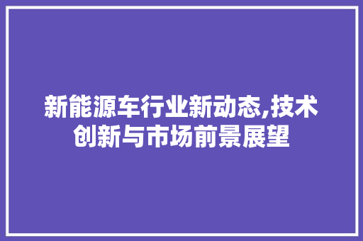 新能源车行业新动态,技术创新与市场前景展望