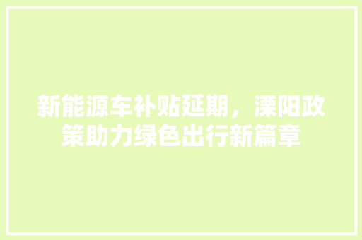 新能源车补贴延期，溧阳政策助力绿色出行新篇章