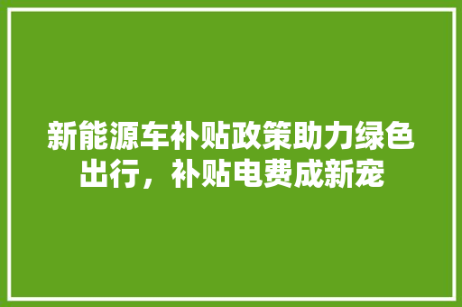 新能源车补贴政策助力绿色出行，补贴电费成新宠 变速箱配件