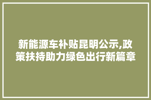 新能源车补贴昆明公示,政策扶持助力绿色出行新篇章 新能源汽车