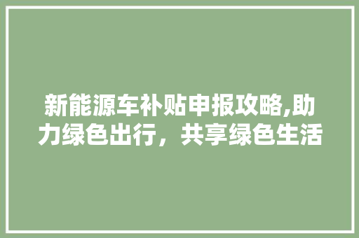 新能源车补贴申报攻略,助力绿色出行，共享绿色生活 变速箱配件