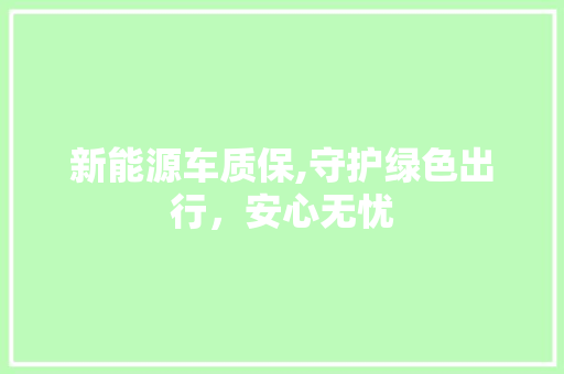新能源车质保,守护绿色出行，安心无忧