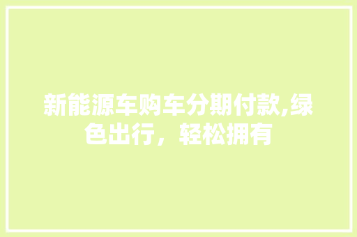 新能源车购车分期付款,绿色出行，轻松拥有