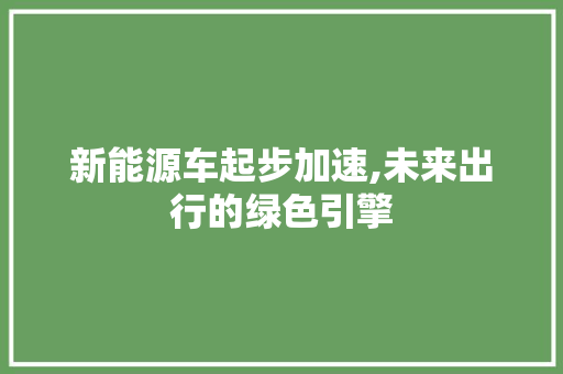 新能源车起步加速,未来出行的绿色引擎