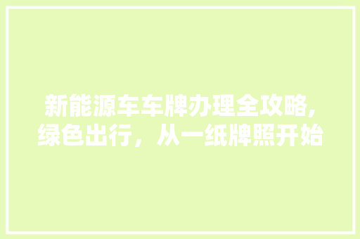 新能源车车牌办理全攻略,绿色出行，从一纸牌照开始